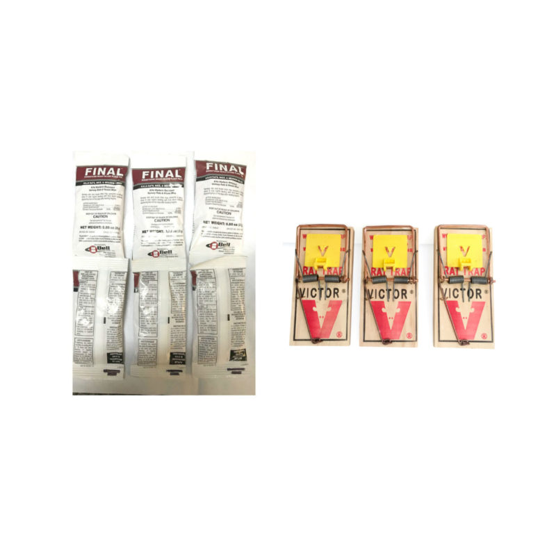 Termite Store